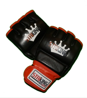 MMA Gloves