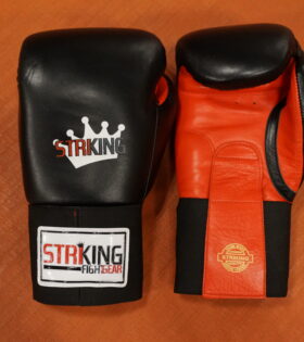 Sparring Gloves
