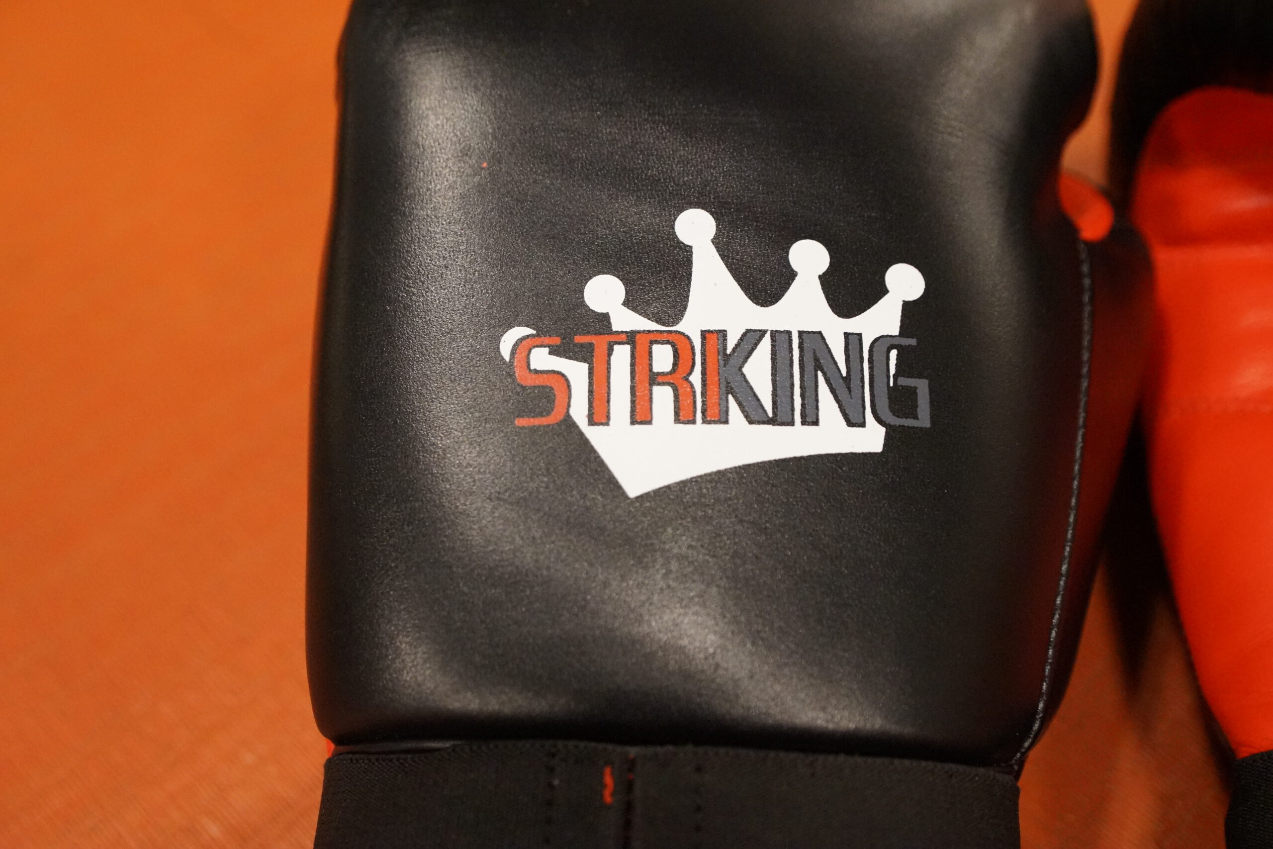 Sparring Gloves - Image 3