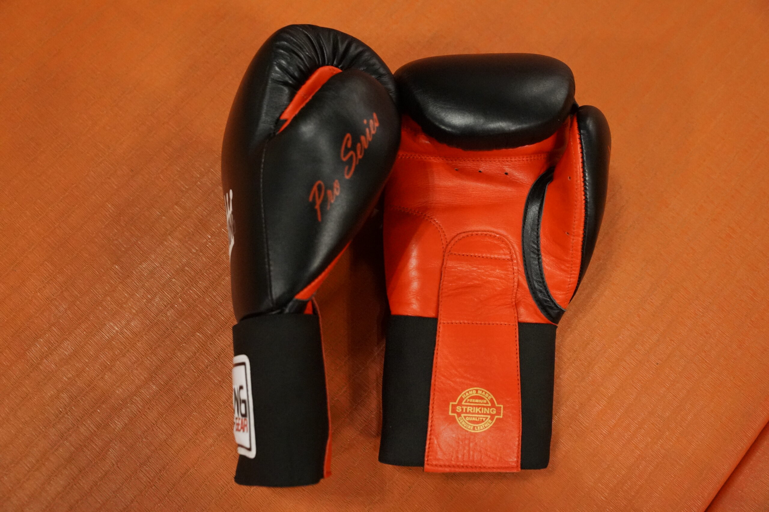 Sparring Gloves - Image 2