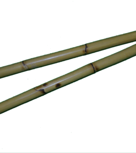 Rattan